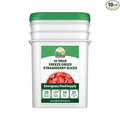 Valley Food Storage Freeze Dried Strawberries | Emergency Food Supply, 25 Year Shelf Life | Survival Food, Camping Snacks & Long Term Prepper Storage | Real Fruit, Packaged in USA (10 Bags + Bucket)