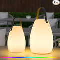 uuffoo 2 Pack Rechargeable Portable Table Lamp, Cordless RGB Lantern with Remote, Decorative LED Night Light, IP44 Waterproof Indoor Outdoor Lamp for Bedroom Patio Garden Wedding Party