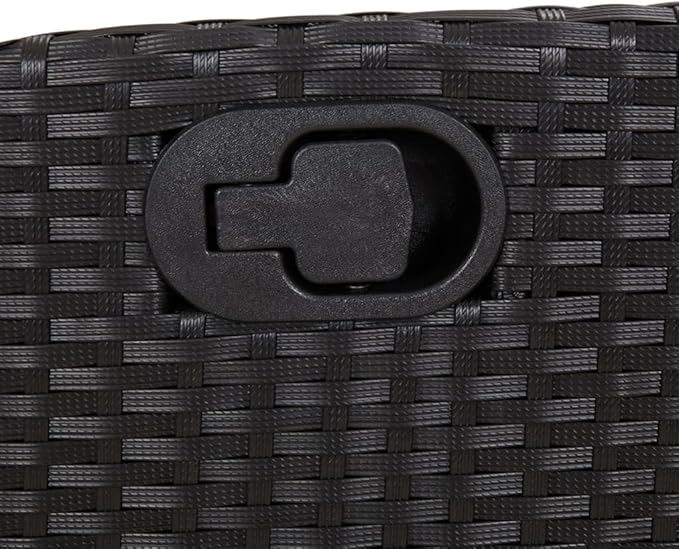 Reclining Patio Chairs 2 pcs with Cushions Black Poly Rattan Porch Chairs Camping Chairs Patio Chairs Living Room Chairs for Dining Patio Bedroom Outdoor
