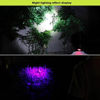 UV Headlamp Rechargeable, Headlamp Ultraviolet Light LED Blacklight Headlight 395nm Head Torch Zoomable for Night Fishing, Scorpions Hunting, Auto Oil and HVAC Leaks (UV+White Light)