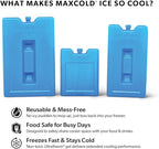 Igloo Maxcold Ice Block