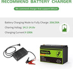 12V 100Ah LiFePO4 Lithium Battery, Built-in 100A BMS, Up to 8000 Cycles, for Solar Energy Storage, Backup Power, RV, Camping, Off-Grid