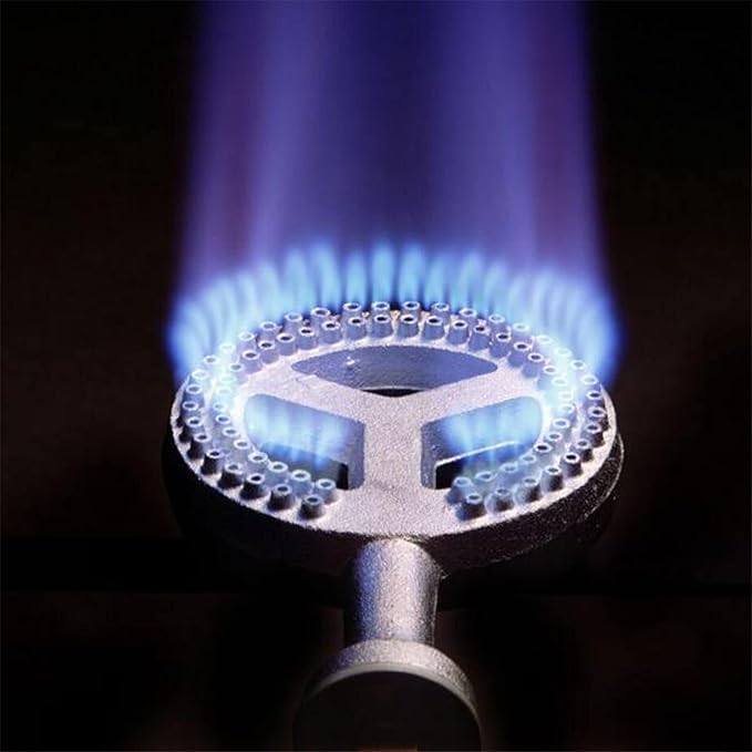 Bayou Classic Outdoor Patio Stove - Portable, 5-psi Regulator, Hose - 16 x 16 x 13 in - Stainless Steel