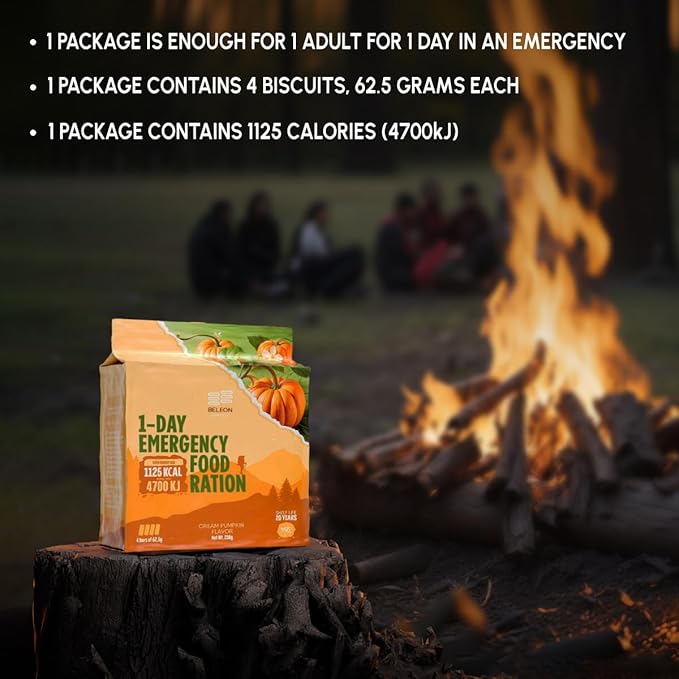 Emergency Food Supply - Cream Pumpkin Survival Ration - 20 Years Shelf Life - 1 Day