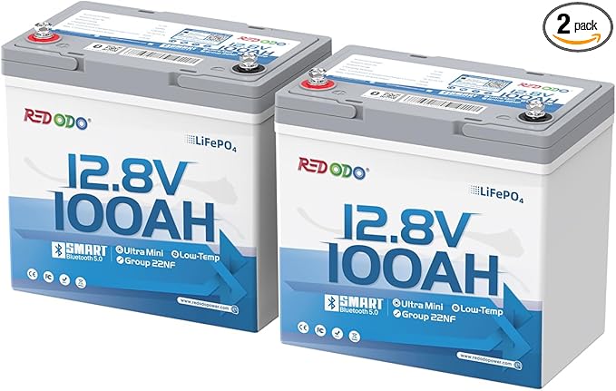 Redodo 12V 100Ah Ultra-Mini RV LiFePO4 Battery, Bluetooth Lithium Battery with Low Temp Protection, Group 22NF Size & 4000+ Deep Cycles, 100A BMS for RV Camping Trolling Motor Off Grid Use 2 PACK