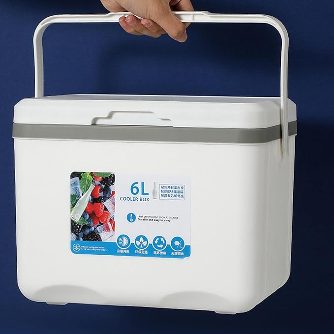Cooler Box Ice Box 6L Personal with Handle for Freeze/Hot Food Ice Chest Small Insulated Box for Beach Camping Stall Outdoor