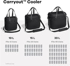 Hydro Flask Carryout Cooler - Insulated Portable Soft Cooler - 10 L Capacity in Shale Gray