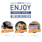 Emergency Essentials Freeze-Dried Whole Blueberries #10 Can, Freeze-Dried Blueberries, Emergency Snack Cans, Nutritious Food, 30-Year Shelf Life Food