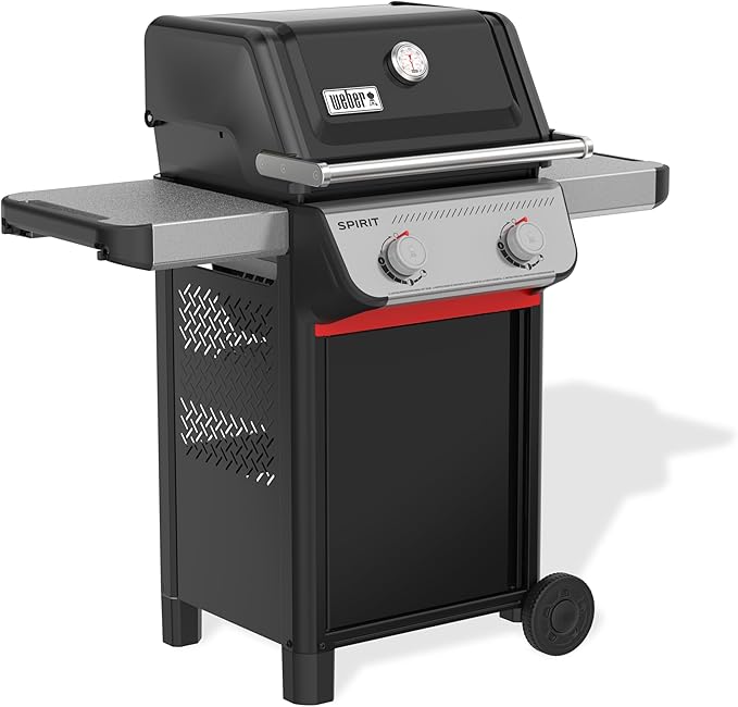 Weber Spirit E-210 Liquid Propane Gas Grill for Outdoor Cooking and BBQ, 2 Burners, Black – Porcelain-Enameled Cast-Iron Grates & Snap-Jet Ignition