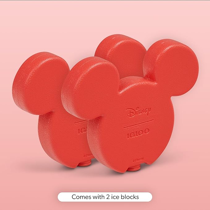 Igloo Ice Block 2-Pack | Reusable Freezer Packs | Disney | Hello Kitty | Star Wars