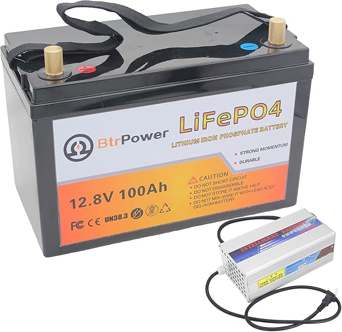 12V LiFePO4 Battery 100AH,5000+ Deep Cycle Lithium Battery with 14.6V 10A Charger,100A BMS for Home Storage,Trolling Motor,RV,Off-Grid System,Solar System,Marine,Golf Cart