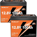 2 Pack 12V 100Ah Mini LiFePO4 Lithium Battery Built-in 100A BMS 1.28kWh 10-Year Lifespan Rechargeable Battery 6000 Deep Cycles Perfect for RV Solar System Camping Off-Grid