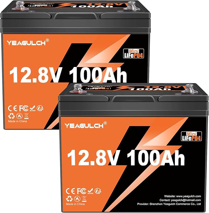 2 Pack 12V 100Ah Mini LiFePO4 Lithium Battery Built-in 100A BMS 1.28kWh 10-Year Lifespan Rechargeable Battery 6000 Deep Cycles Perfect for RV Solar System Camping Off-Grid