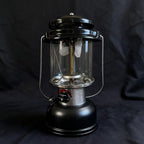 20-Pack String Tie Lantern Mantles with 2 Pcs Lantern Globe Replacement Glass, Glass Globe Compatible with Coleman Fueled Lanterns, Replacement Suitable for Outdoor Camping Lantern