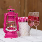 Feuerhand Outdoor Kerosene Fuel Lantern, German Made Weather Resistant Baby Special 276 Galvanized Hurricane Lamp for Camping or Patio, 10 Inches, Telemagenta