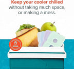 Healthy Packers Ice Packs for Lunch Boxes & Coolers - Freezer Packs - Original Cool Pack | Cooler Accessories for Beach, Camping & Fishing | Slim & Long-Lasting Reusable Ice Pack for Cooler
