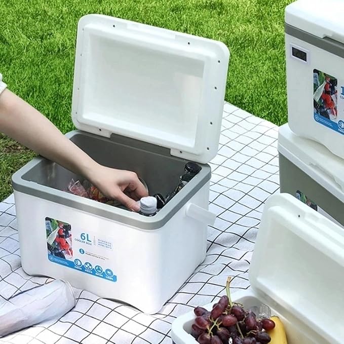 Cooler Box Ice Box 6L Personal with Handle for Freeze/Hot Food Ice Chest Small Insulated Box for Beach Camping Stall Outdoor