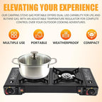 Portable Camping Stove｜24,000 BTU Dual Burner Gas Grill w/Removable Case｜Compact 24.8" Outdoor Cooker for RV Tailgating｜Stainless Steel 2-Burner Propane Stove