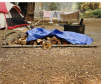 Grizzly Tarps by B-Air 10' x 14' Large Multi-Purpose Waterproof Heavy Duty Poly Tarp with Grommets Every 36", 8x8 Weave, 5 Mil Thick, for Home, Boats, Cars, Camping, Protective Cover, Blue