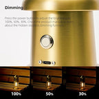 Metal Vintage LED Camping Lantern, 5200mAh Rechargeable Battery Last 12-430 Hours Camping Lamp, 3 Modes Hanging Lantern, Retro Camping Light for Courtyard Outdoor Decoration