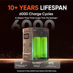 Jackery Explorer 240D Power Bank, 256Wh LiFePO4 Battery Portable Power Station, Charging Cable Included with 100W Soalr Panel