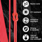 TECEUM 5/32" Paracord Rope 1000 – 1000ft / 200ft / 100ft / 50ft – Tactical Parachute Cord 4mm – 45+ Colors – Nylon String for Survival & Camping Gear – Stripe Cord for Survival – Utility Rope