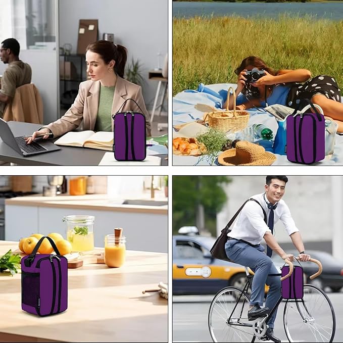 BEIMILY Lunch Box for Men Women Adults,Mini Insulated Lunch Bag for Office Work Picnic,Reusable Portable Lunchbox,Soft Cooler Tote Bag,6 can cooler bag,Mini,Dark Purple