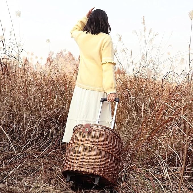 Outdoor Camping Picnic Basket Multifunctional Pull Rod Rattan Roller Basket with Tableware for Convenient Picnics