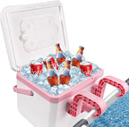 13L Pool Cooler, Insulated Hard Cooler with Handle & Hanging Bracket, Keeps Drinks Cold for 3 Days, Portable Poolside Drink Cooler for Above-Ground Pools, Camping, Fishing
