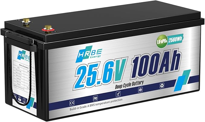 24V 100Ah LiFePO4 Battery, Built-in 100A BMS Lithium Batteries, 5000+ Cycles Lithium Iron Phosphate Battery, Perfect for RV, Solar System, Trolling Motor, Camping