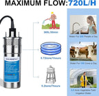 ECO-WORTHY 12V DC Solar Well Pump Kit – 200W Solar Panel Included, Submersible Water Pump, Portable Well Pump for Off-Grid Areas, Deep Wells, Irrigation, Water Tank Filling