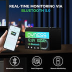 12V 100Ah Bluetooth LiFePO4 Battery, Deep Cycle Group 31 Lithium RV Batteries Built-in 100A BMS with Low-Temp Protection, 12.8 Volt Lithium Battery for Rv Camping, Home Solar System, Off-Grid