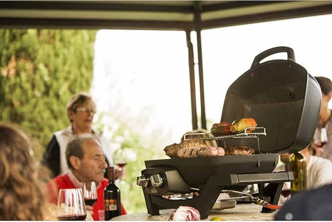 Napoleon TravelQ PRO285 Portable Natural Gas Grill, Black, 2 Burners, Tailgating, Camping, and Small Outdoor Spaces