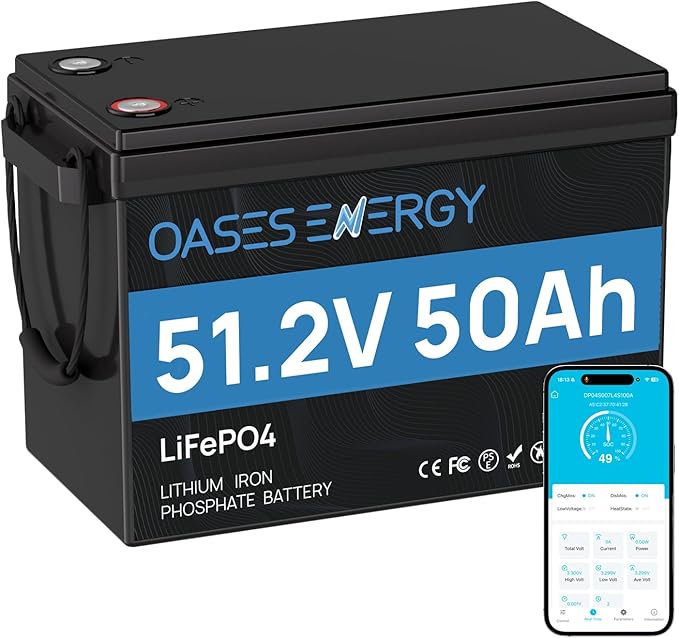 48V 50Ah LiFePO4 Lithium Battery Mini with Bluetooth, 50A BMS, Deep Cycles 48V LiFePO4 Battery, 2560Wh Energy for Off-Grid, Solar, RV, Camper, Marine, Boats