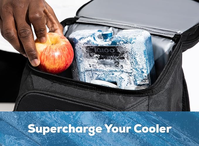 Igloo Performance Ice Block