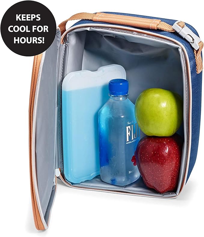 Cool Coolers by Fit & Fresh 4 Pack XL Slim Ice Packs, Quick Freeze Space Saving Reusable Ice Packs for Lunch Boxes or Coolers, Blue, 239ICE, 4 count (Pack of 1)