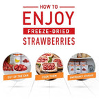 Emergency Essentials, Freeze-Dried Strawberry Slices, Bulk Freeze-Dried Fruit, 30-Year Shelf Life, 6.4-oz. Large Can
