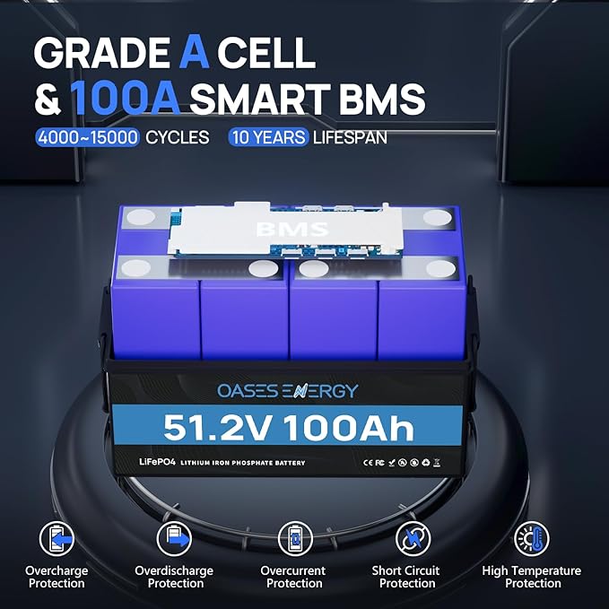 48V 100Ah LiFePO4 Lithium Battery, Build-in BMS with Low Temp Protection, 500A Peak Current, Up to 5000+ Deep Cycles Battery for RV, Camper, Solar Energy Storage, Boats, Trolling Motor, Off Grid