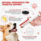 Activated Charcoal First Aid Kit Emergency Rescue for Dogs, Cats, Activated Charcoal for Dogs, Puppy & Pet Poisoning Kit, Camping Survival Remedy Essential, Ready to Absorb Toxins - 60cc (60ml)
