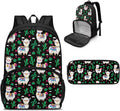 School Backpack for Kids Bookbag Insulated Cooler Backpacks with Lunch Box and Pencil Case Reusable Water Resistant Tote Food Bag for College Camping Picnics, Cactus Alpaca