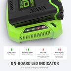 Greenworks PRO 80V Lithium Ion Single Port Rapid Battery Charger GCH8040