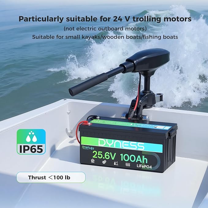 24V 100Ah LiFePO4 Lithium Battery with Bluetooth, Deep Cycle Rechargeable Battery with Low-Temp Protection, 2560W Max for Off-Grid Solar, RV, Camper, Trolling Motor, Home Use