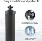 NSF Certified Activated Carbon Water Filter Elements, 2-Pack Coconut Shell Cartridges for Outdoor Camping and Hiking, Removes Sediment Rust Heavy Metals, 2.25x9.75 Inch, Black
