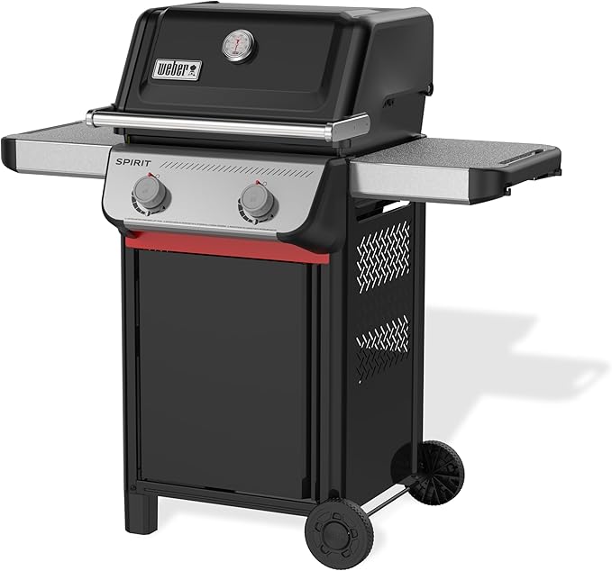 Weber Spirit E-210 Liquid Propane Gas Grill for Outdoor Cooking and BBQ, 2 Burners, Black – Porcelain-Enameled Cast-Iron Grates & Snap-Jet Ignition