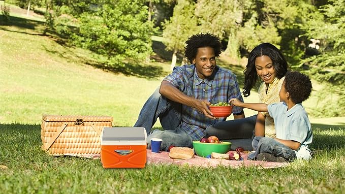 Picnic Cooler – 4.5 Liter Hard Cooler – Coolbox Keeps Contents Cool for 48 Hours – BPA Free Outdoor Cooler – Portable Cooler for Picnics, Grill, Camping (Orange)