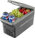 Upstreman Personal Electric Cooler/Warmer, 8L Capacity, All Season Portable Car Fridge with 12V DC and Shoulder Strap, Car Cooler for Road Trips, Camping and Daily Use-AR11