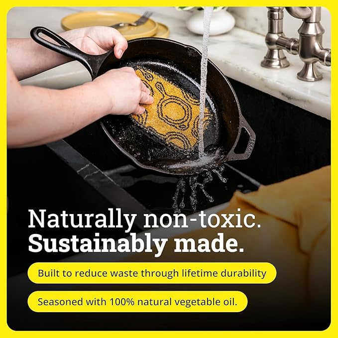 Lodge Seasoned Cast Iron Skillet - PFAS-Free, Non-Toxic Cookware - Use with an Oven, Stove, Grill, or Campfire - Naturally Non-Stick & Oven Safe - 10.25 Inches
