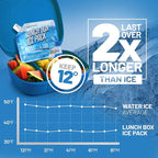 Everlasting Ice RX Reusable Ice Packs for Cooler (4 Pack) Up to 48 Hours Freezer Packs for Coolers and Lunch Boxes | 10 x 10 in | Cooler Ice Packs for Camping, Fishing, Beach, Road Trips