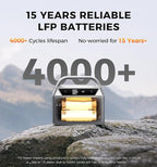 C400 256Wh Portable Power Station | 400W (800W Surge) Pure Sine Wave AC Outlet + PD3.0 USB-C | Solar Generator for Camping, Emergencies, CPAP