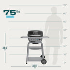 Charbroil 3-in-1 Dual Fuel Outdoor Bistro Pro Electric Grill & Griddle + Charcoal Mode BBQ, Black - 25302145